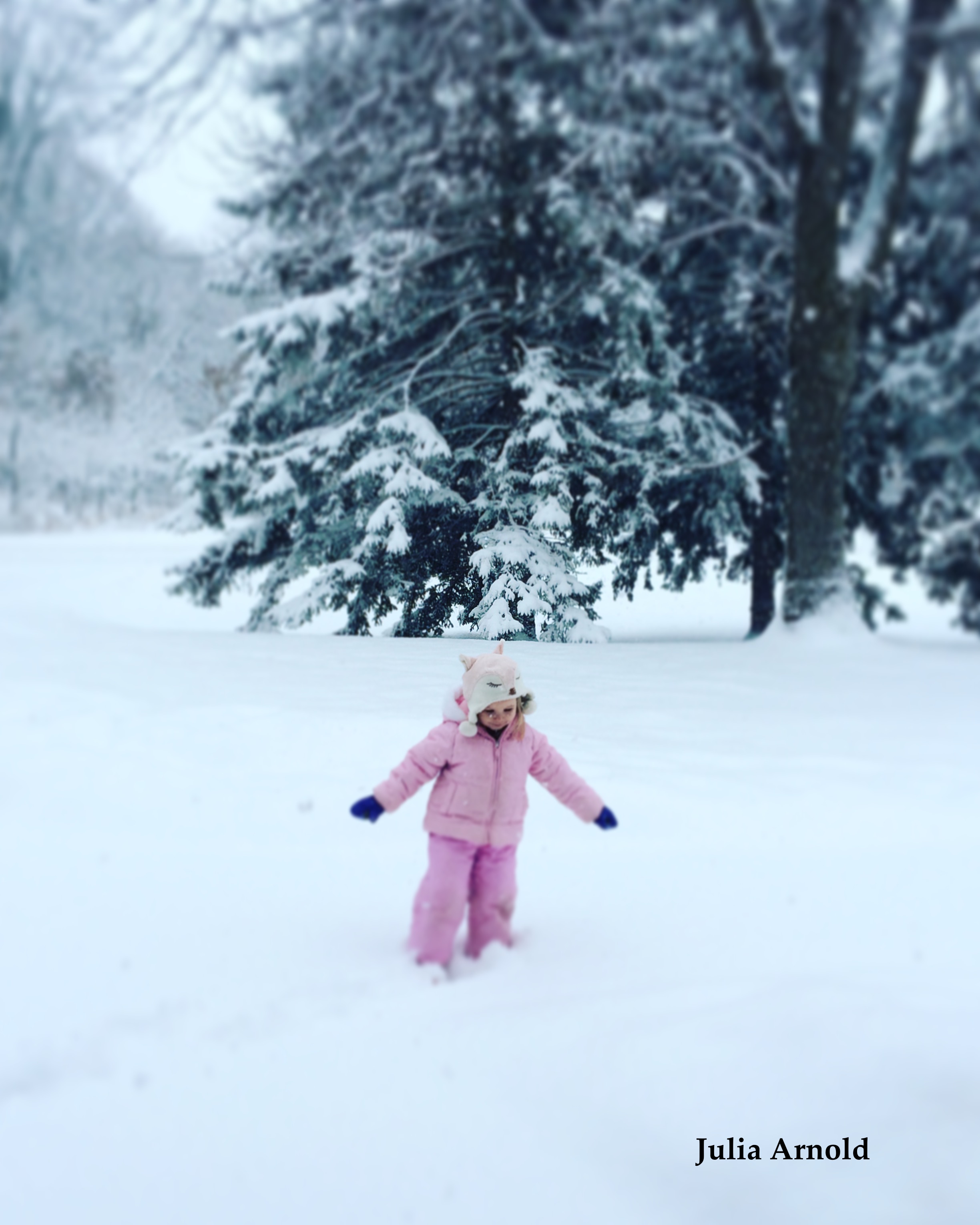 Pink Bunny in the Snow